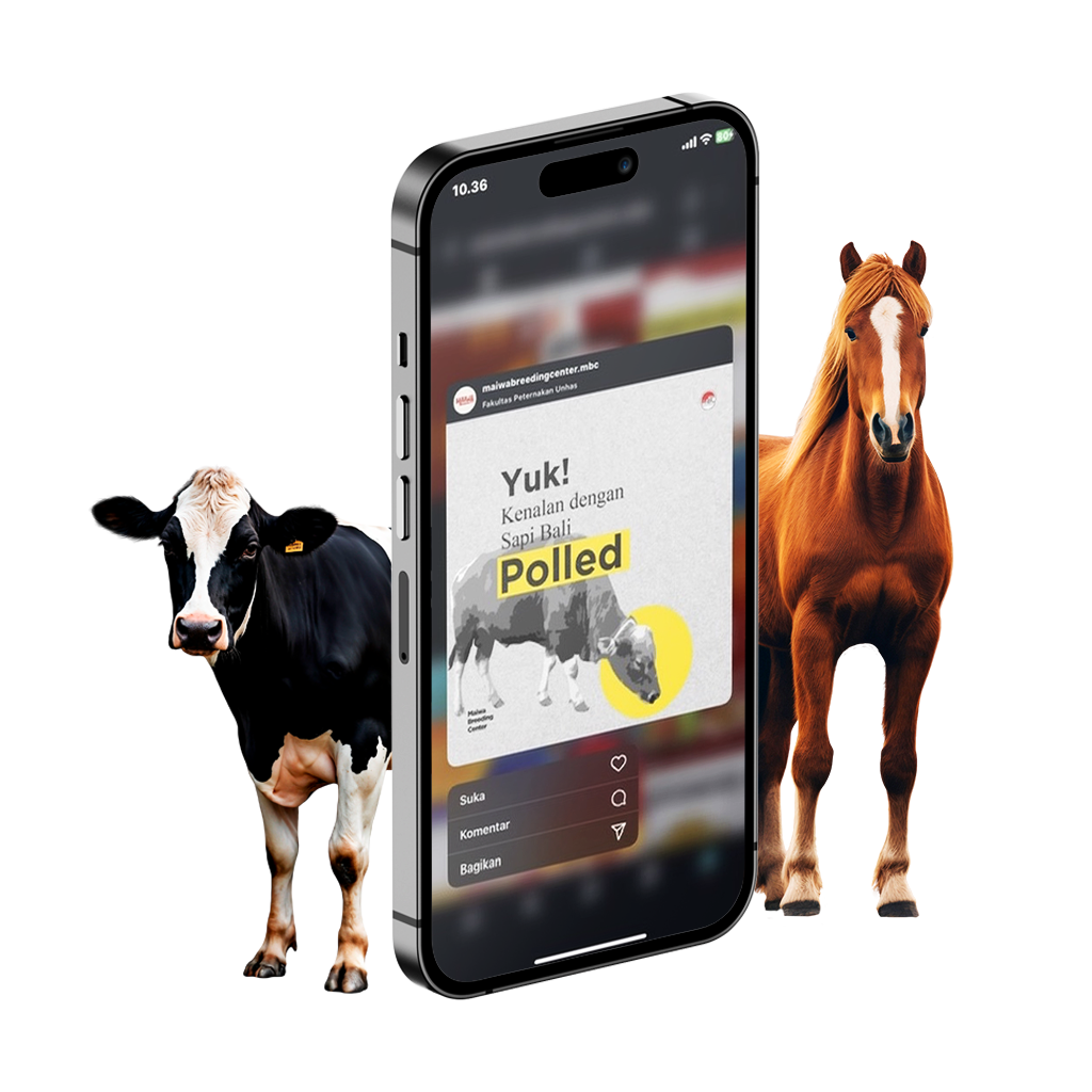 Home place holder mobile